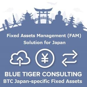 BTC Japan-specific Fixed Assets