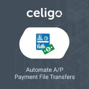 Celigo Vendor Payment Manager
