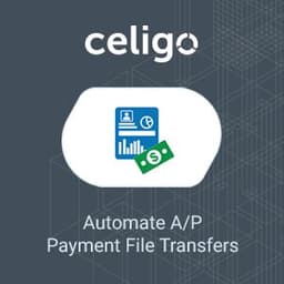 Celigo Vendor Payment Manager