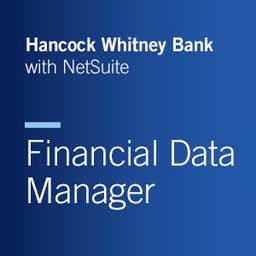 Financial Data Manager with NetSuite
